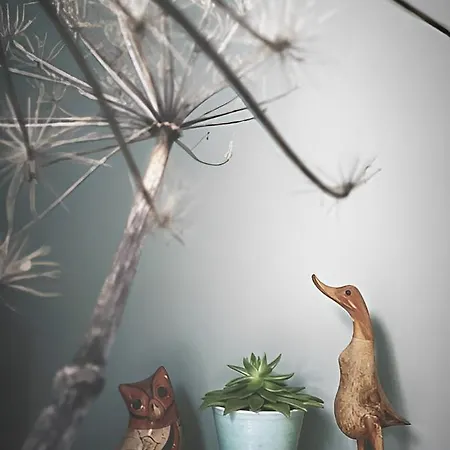 De Gravin Szálloda 3*