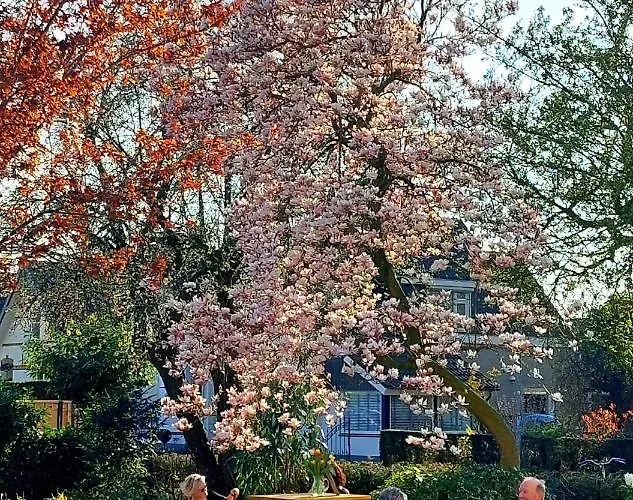 ホテル De Gastrolounge