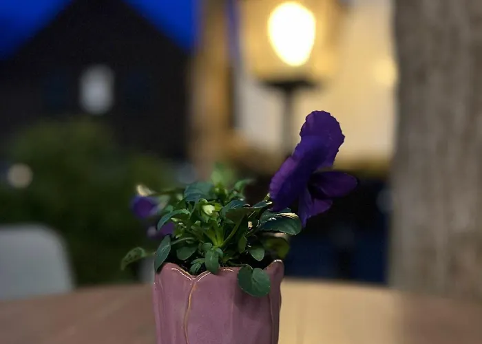 De Gastrolounge 3* フォルデン